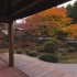 京都 泉涌寺の紅葉 Kyoto, Sennyuji in Autumn