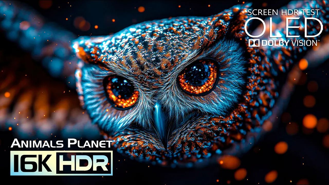 令人难以置信的动物星球OLED测试｜4K HDR杜比视界120fps 4K 8K视频电视