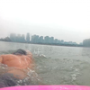 20240127游泳打卡冬泳