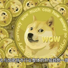 狗狗币（DOGE）2025年能否突破1美元大关