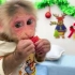猴子为什么这么喜欢吃水果呢