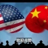 中国为首的新兴国家，开始反过来割美国的韭菜了