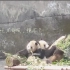 【春游】重庆动物园~带你看动物啦