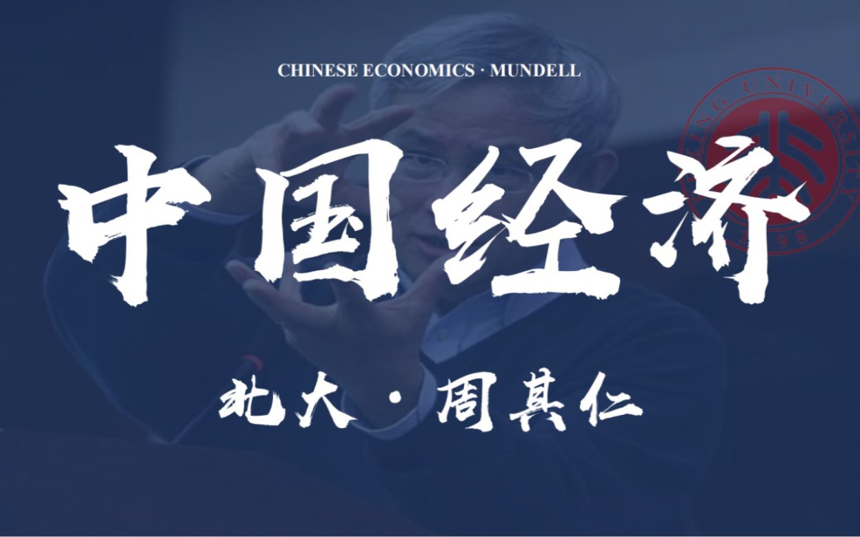 【领袖系列】不是只有徐高与林毅夫讲中国经济！这也是宝藏！——周其仁：中国经济专题 北京大学国家发展研究院高级进阶新系列课程，洞察中国的宏观经济分析以及未来方向
