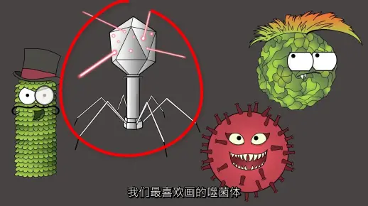 病毒如何繁殖如何攻击人类