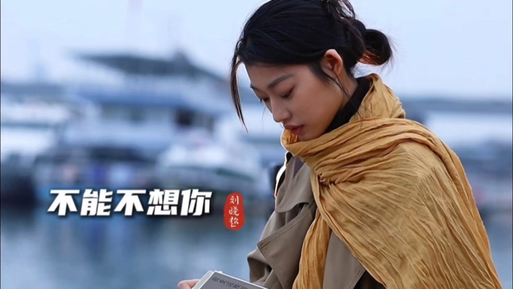 刘晓超《不能不想你》完整版，旋律优美百听不厌