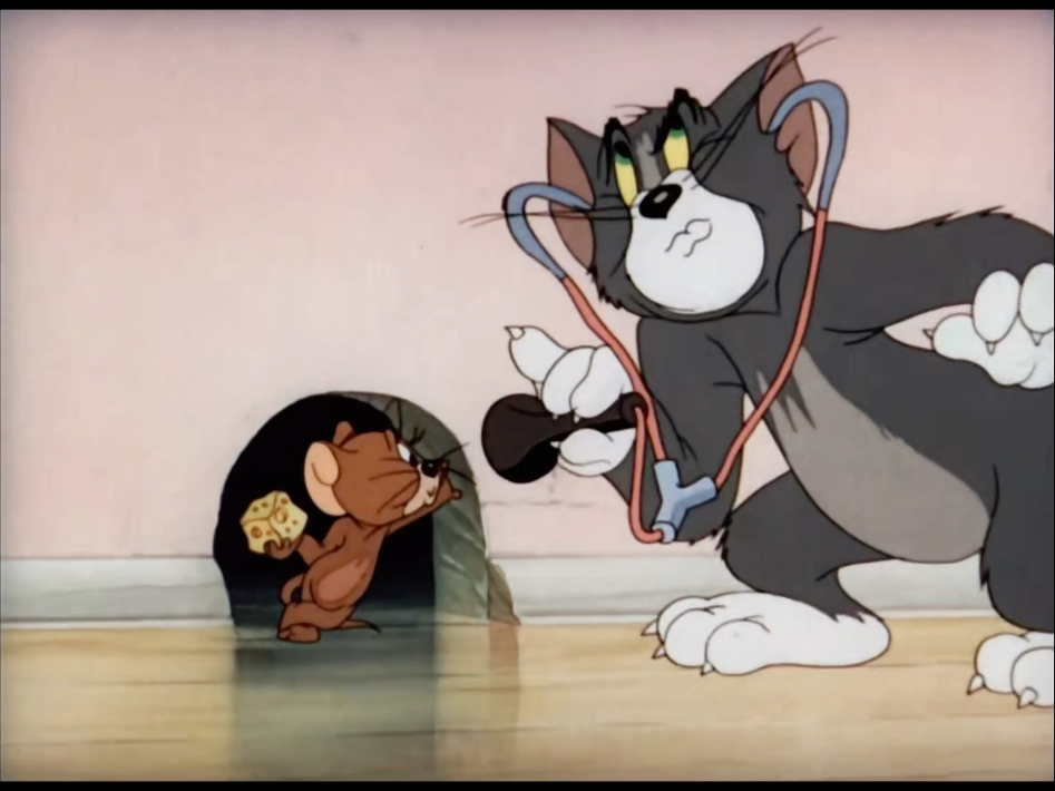 谁会拒绝一集猫片呢