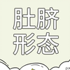 肚脐