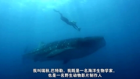 15e7f2698f3426947f8df6b5aebf60621883f8a5.jpg@280w_158h_1c_100q.jpg