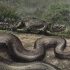 泰坦巨蟒大战冥河鳄 泰坦蟒曾经被高估了
