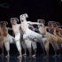 【芭蕾】【全剧】【马修伯恩芭蕾】天鹅湖（男版） 2012年