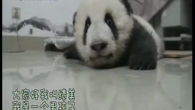 15f06b48cfaabc478f4859a01b6430cf052296dd.jpg@280w_158h_1c_100q.jpg