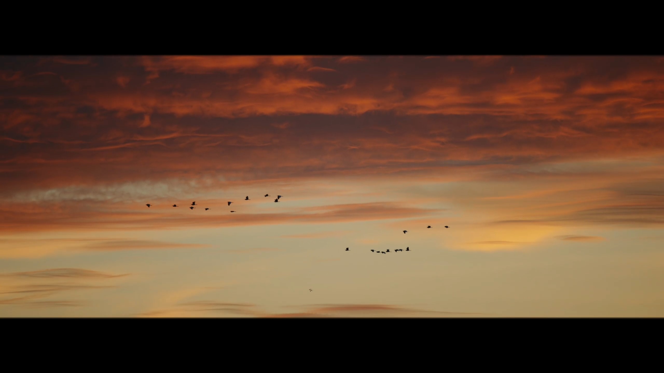 以中国智造响应时代号召，以科技自强筑基现代物流。值此华诞，谨以百城千路之绩，贺祖国繁荣昌盛！