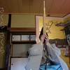 【日本雅乐/竽】《樱花》竽(う)独奏による–日本古謡「さくら さくら」/Sakura Sakura - Japanese traditional song