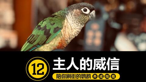 1624a8370f32daada3af35b457c44686f2e90c12.jpg@480w_270h_1c