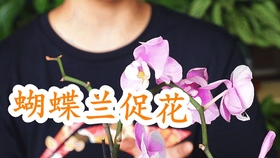 1629bf74dffd1e08ead7a8ec02e950c0bada5ca4.jpg@280w_158h_1c_100q.jpg