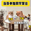 当我参加同学聚会