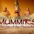 【蓝光压制中英文双语字幕超清1080P+画质收藏版】木乃伊之法老的秘密 Mummies: Secrets of the 