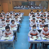 生殖器官的生长