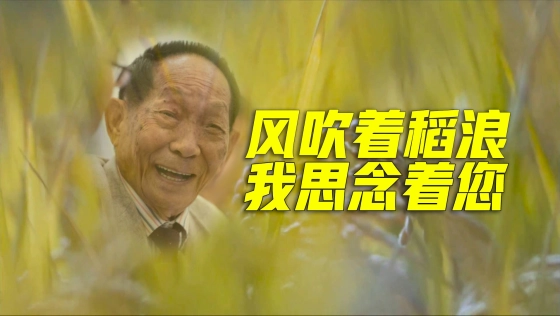 【袁隆平逝世五周年】三餐四季五载，他从未离开……