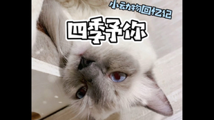 喵喵喵是哪首歌 167a7b72f1250d92557a44dfd6154a1b5b4a3b2a.jpg@310w_174h_1c_100q.jpg