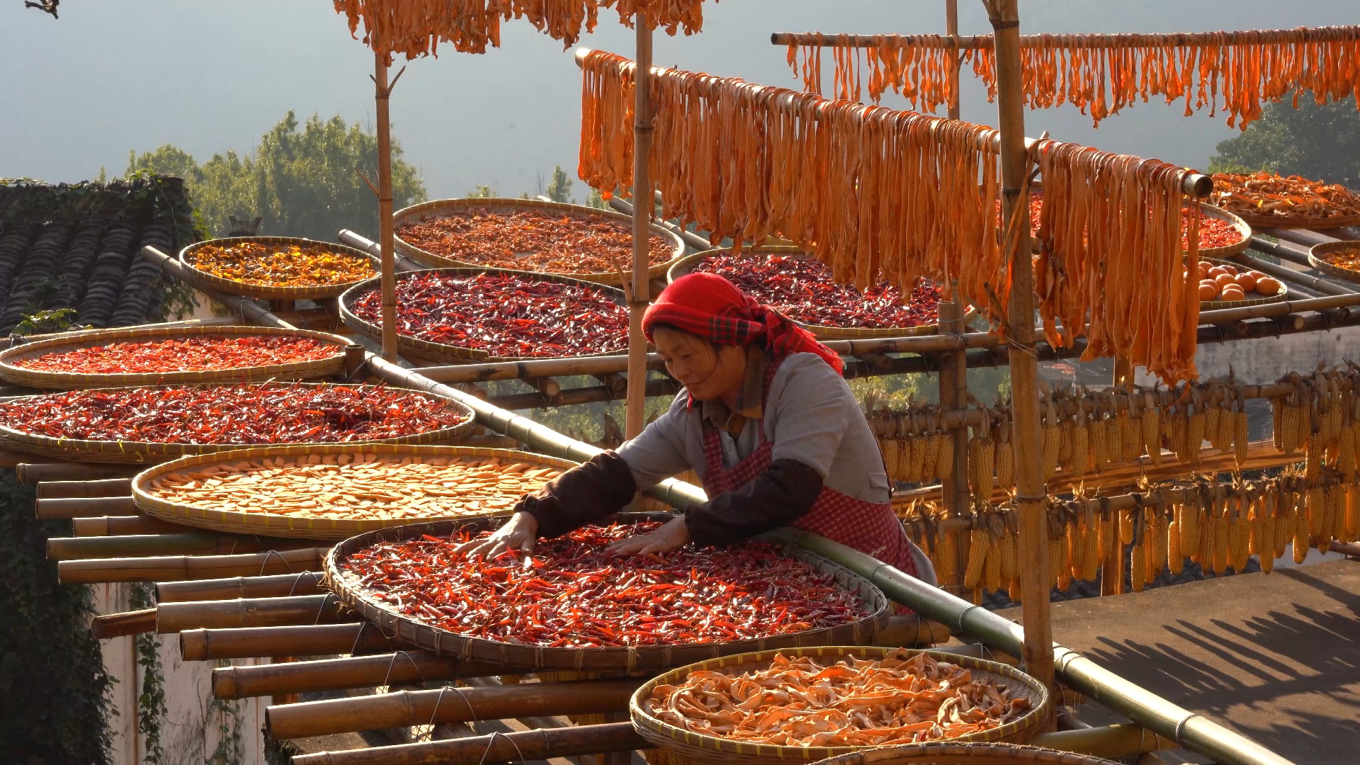 婺源篁岭最美的晒秋时节已到，快来篁岭崖上古村感受晒秋人家丰收的喜乐吧！