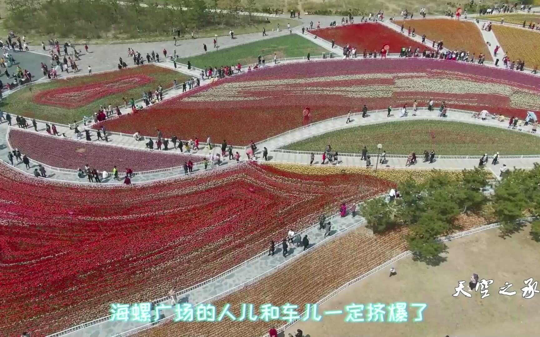 活动作品烟台海螺广场很漂亮但是这件事要注意