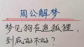 解梦，昨天梦到上牙掉落又再生，下牙亦然——寓意与心理解析