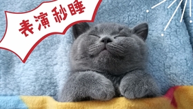 16e3851c59ebbbb745d36fd38cdbbc82924de323.jpg@280w_158h_1c_100q.jpg