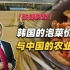 【张捷财经】韩国的泡菜价格与中国的农业升级