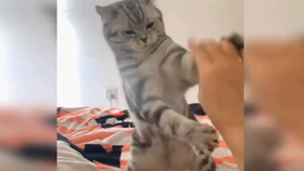 怎么晒太阳舒服 17033d931fc6b2b0d895f4b8df7072d9a7e3185e.jpg@280w_158h_1c_100q.jpg