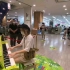 爷青回！日本大神街头钢琴演奏数码宝贝主题曲Butter fly！8090后童年回忆！