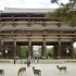 奈良观光｜东大寺篇 第2话 南大门介绍 Todaiji-Temple in Nara