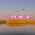 【世界环境日】一个地球(One Earth)