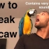 如何教我的鹦鹉说话？