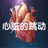 一段很精致的动画，演示了心脏的运动方式和内部解剖结构，包括心房、动脉静脉、心室、动脉辦等都有着详细的展示。