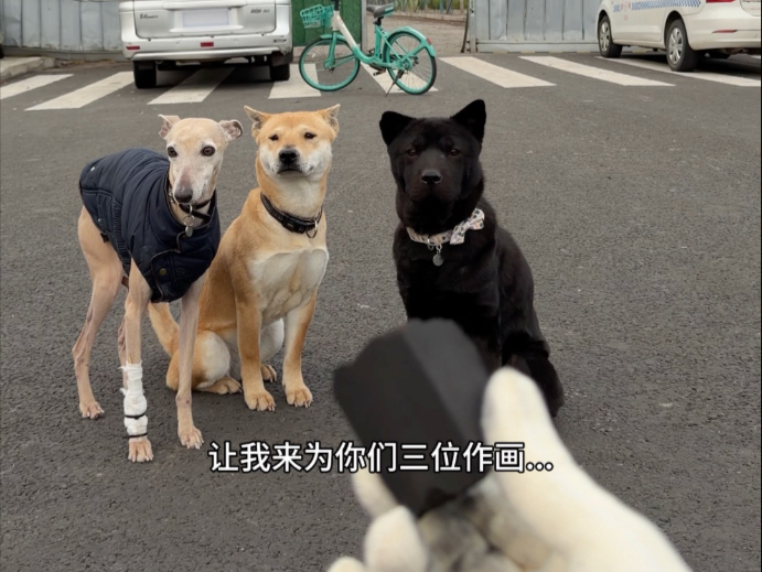《马路边边作画记》