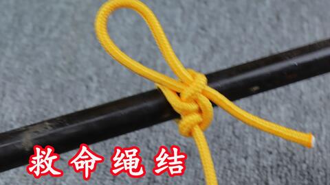 17371a6a9519c4b1c30f5c61d79fb269868c02d6.jpg@480w_270h_1c