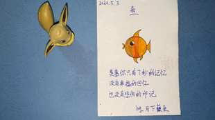 173f360a261ba75c6884096a69d839545060d2be.jpg@310w_174h_1c_100q.jpg