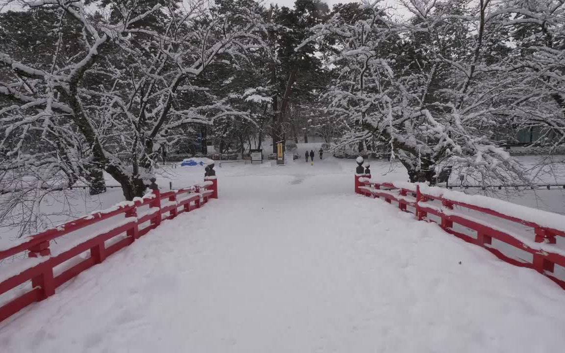 日本的雪景中随便走一走-体验最真实的日本