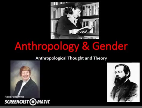 人类学与性别Anthropology and Gender哔哩哔哩bilibili