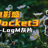 一分钟教你：调出大疆Pocket3感色彩｜ 大疆Pocket3 ｜ Dlog灰片 ｜ Phantom Lut Pocket