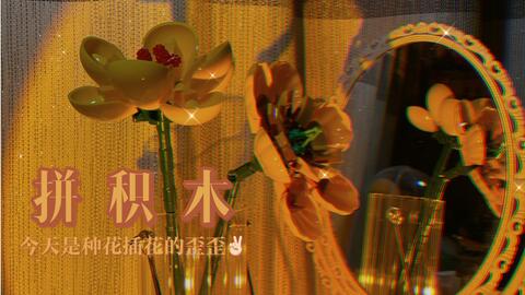 17715fdc42fea12a2b58561035479c391e680fc0.jpg@480w_270h_1c