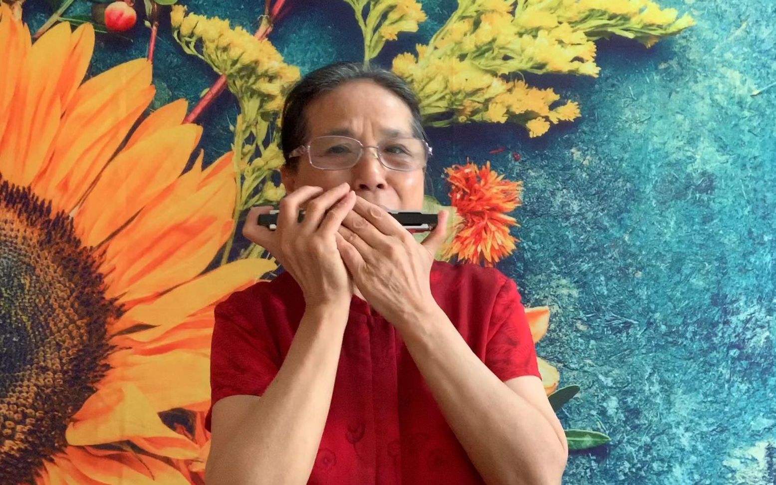 口琴独奏 B站