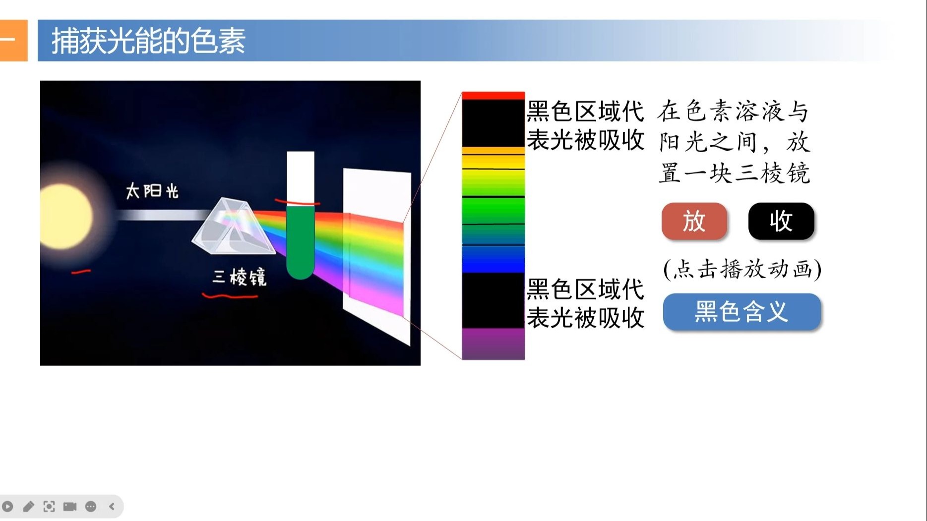 5.4 光合作用与能量转化 第2节课