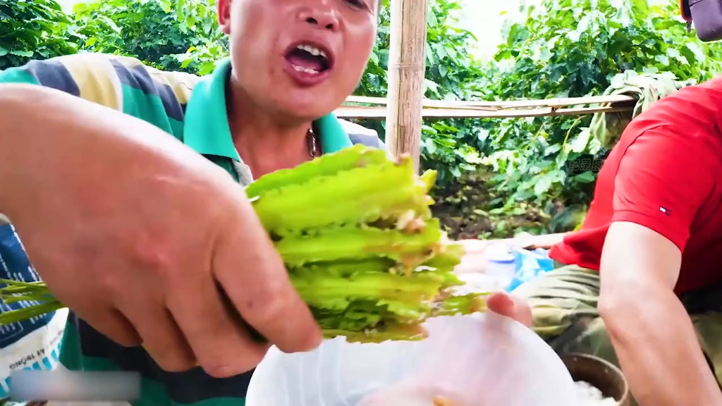 越南小伙仅靠一碗臭酱，带领兄弟们，再次横扫整个绿化带