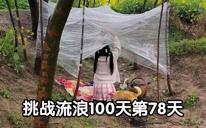 挑战流浪100天第78天 偶遇一只小蝌蚪 野生小希xx 野生小希xx 哔哩哔哩视频