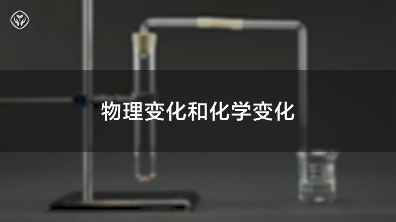 1.4物理变化和化学变化-大理石与稀盐酸反应