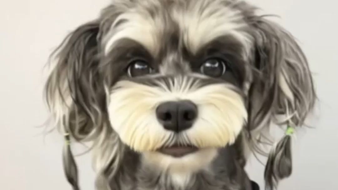 爆火的依赖摇，我家宠物也会跳了！