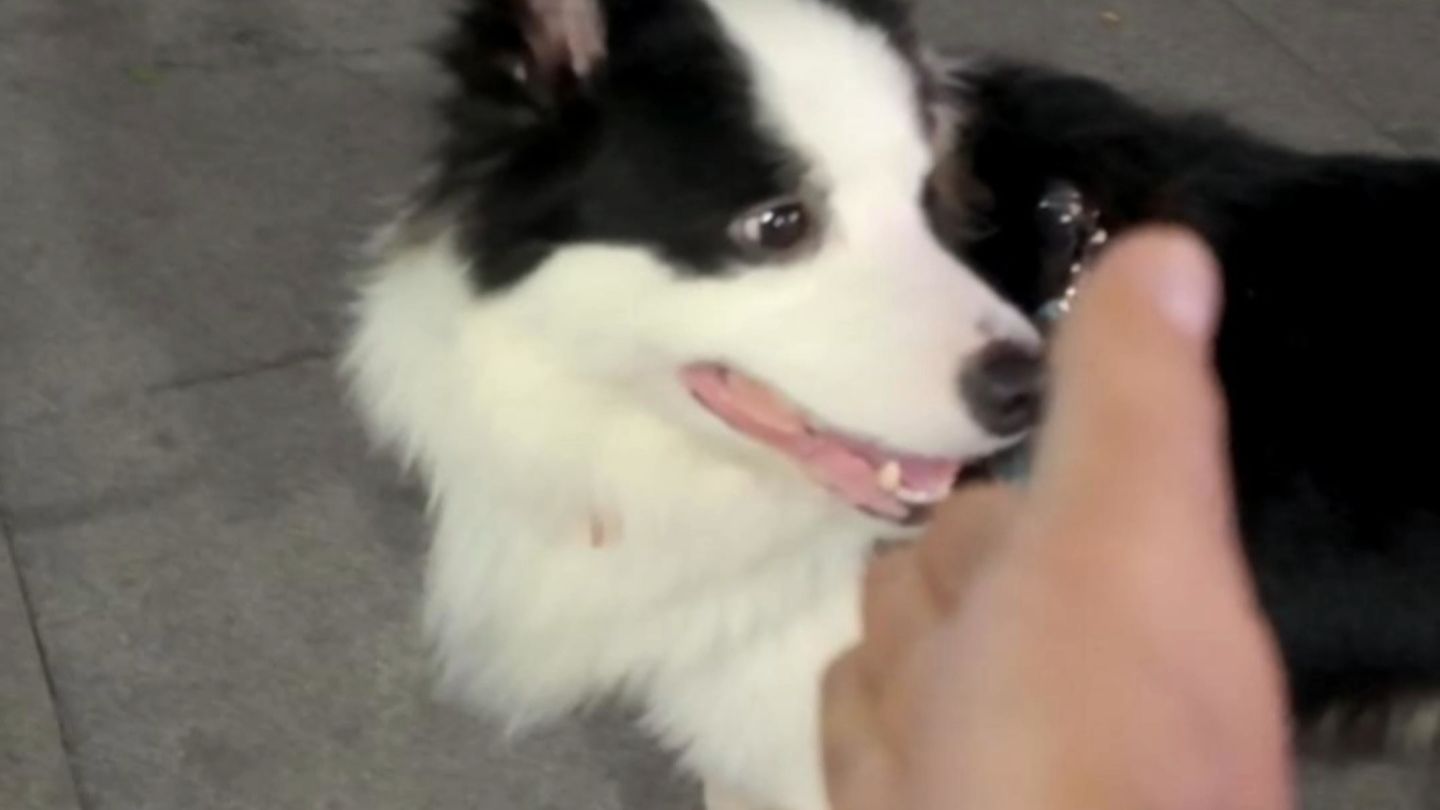 塌房？反差罢了
